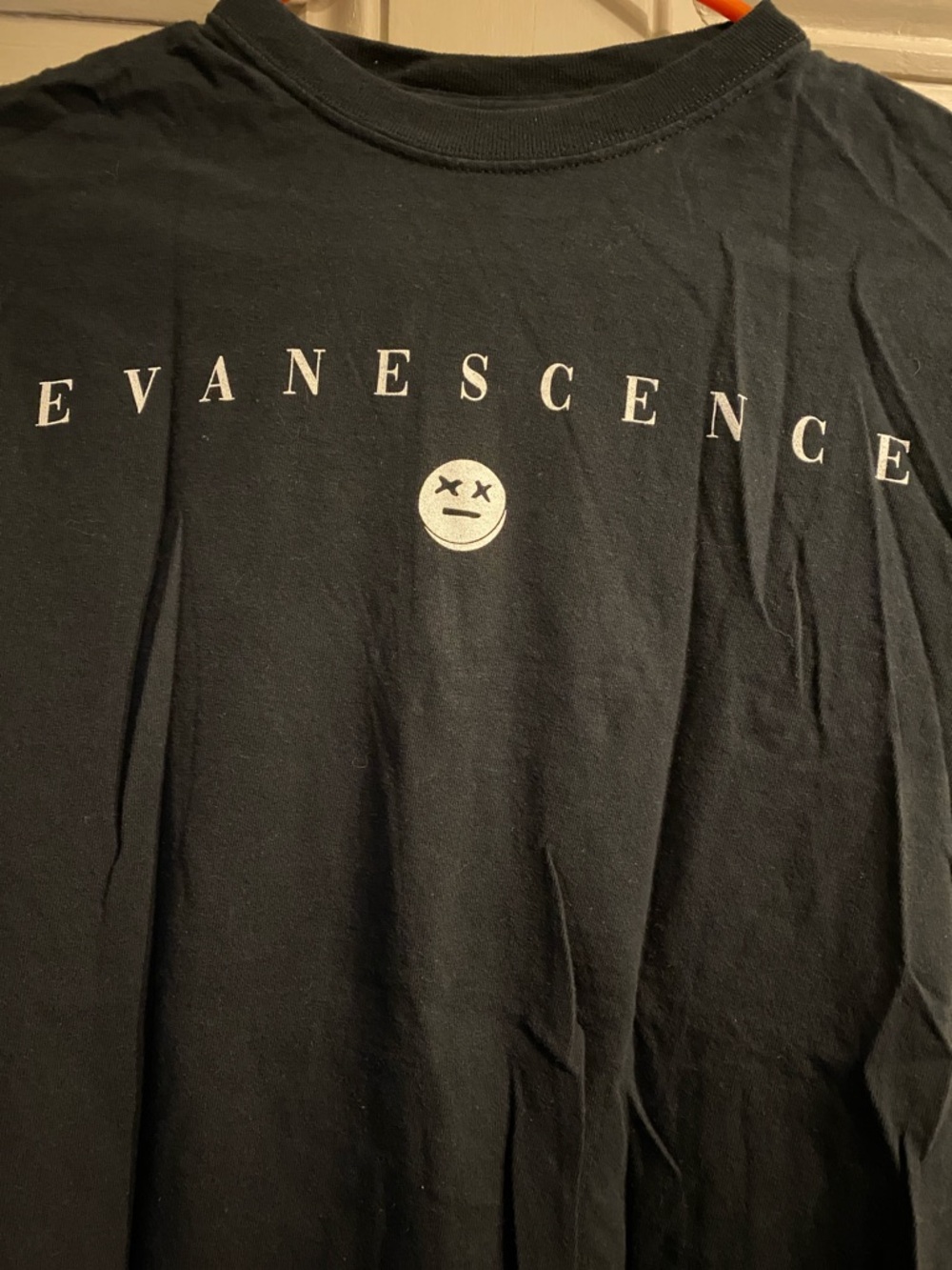 Evanescence - Picture 2 of 2
